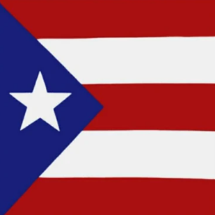 Puerto Rico Flag Square Cotton Bandanas