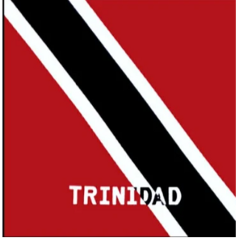Trinidad & Tobago Flag Square Cotton Bandanas in Trinidad and Tobago