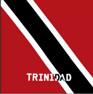 Square cotton bandana featuring the vibrant colors of each Caribbean island. Bandana and Rag perfect for any fete. #carnivalmw