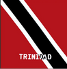 Square cotton bandana featuring the vibrant colors of each Caribbean island. Bandana and Rag perfect for any fete. #carnivalmw