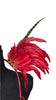 Red Carnival Feather Small Collar Wings featuring a bold blend of vibrant red and brown feathers with dramatic accents; lightweight, adjustable, and handmade for carnival and festival wear. #CARNIVALFEATHERS #CARNIVAL #CARNIVALCOSTUMES