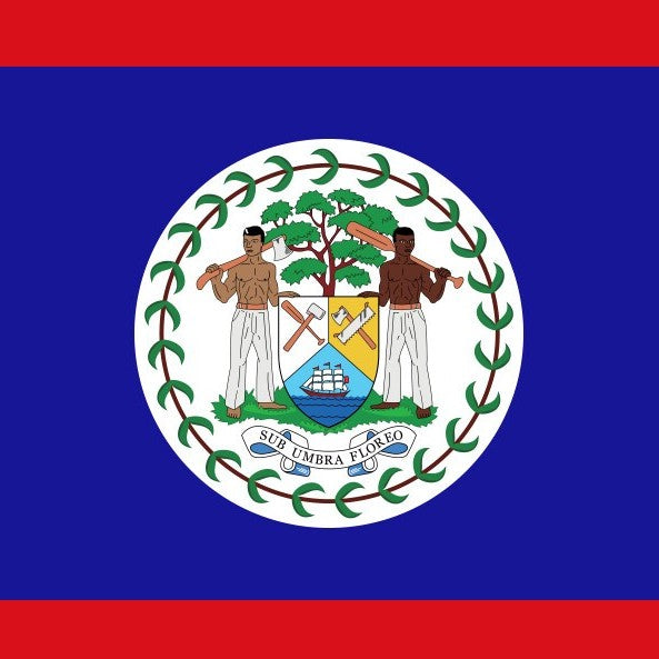 Belize Flag Square Cotton Bandanas