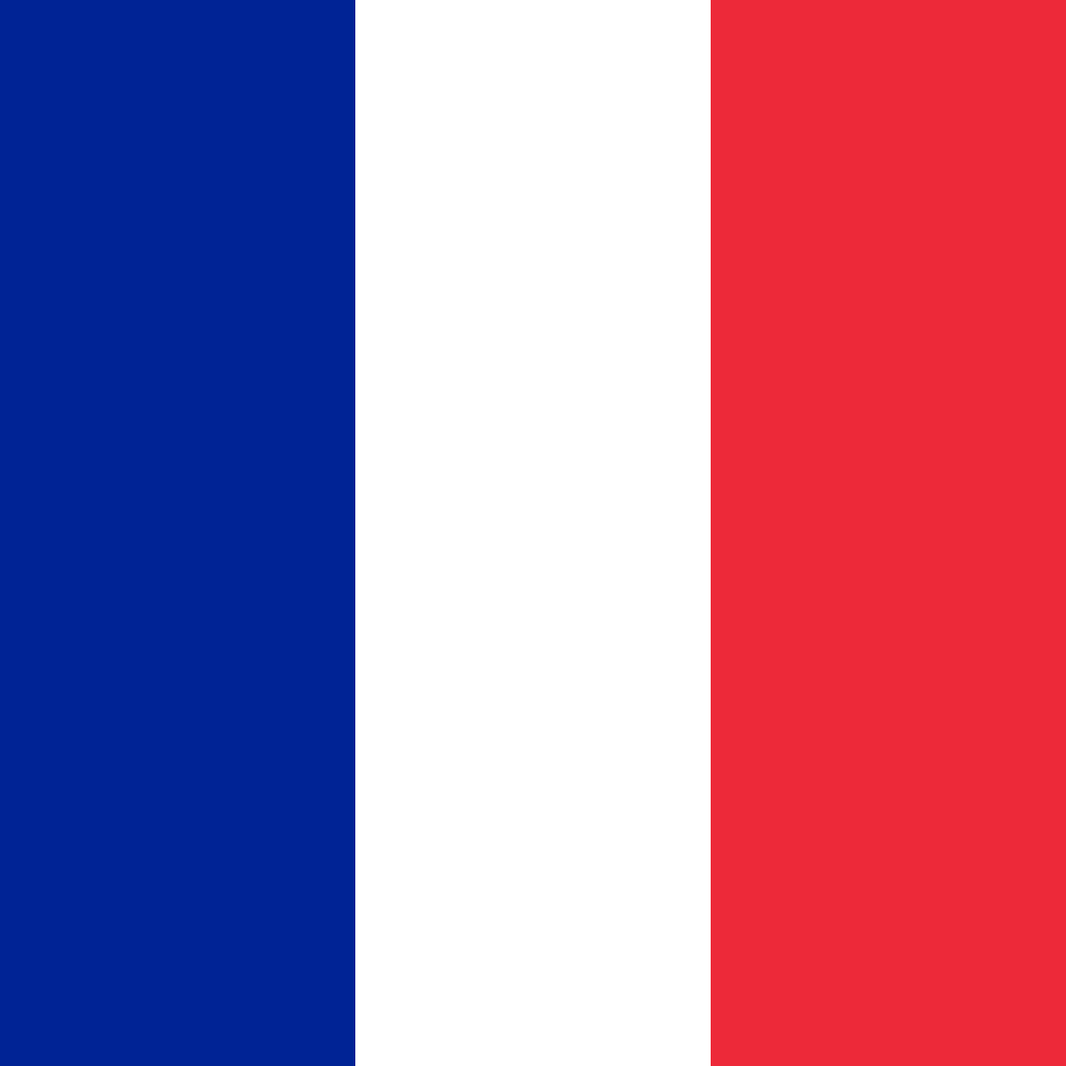 France Flag Square Cotton Bandanas