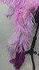 Purple Ombre Feather Tail featuring a stunning gradient of light lavender to deep purple ostrich plumes with sparkling accents; lightweight, adjustable, and handmade to attach easily to any carnival backpack for a dramatic, elegant flair. #CARNIVALFEATHERS #CARNIVAL #CARNIVALCOSTUMES