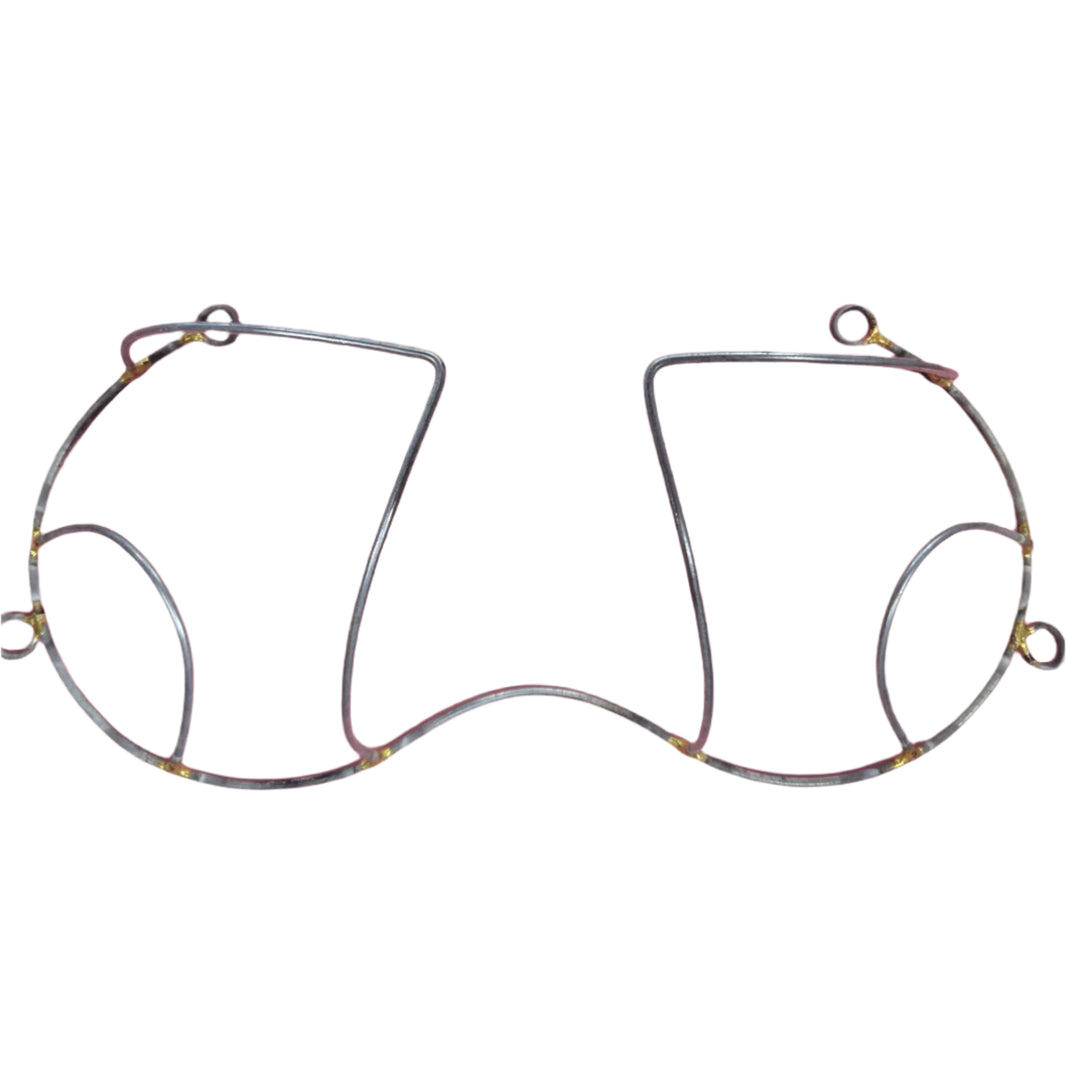Wildness Wire Bra: A bold and supportive carnival bra featuring a durable wireframe design, vibrant colors, and intricate embellishments